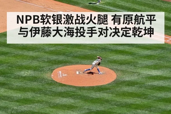 baseball pitcher duel（Kaiyun Sports）
